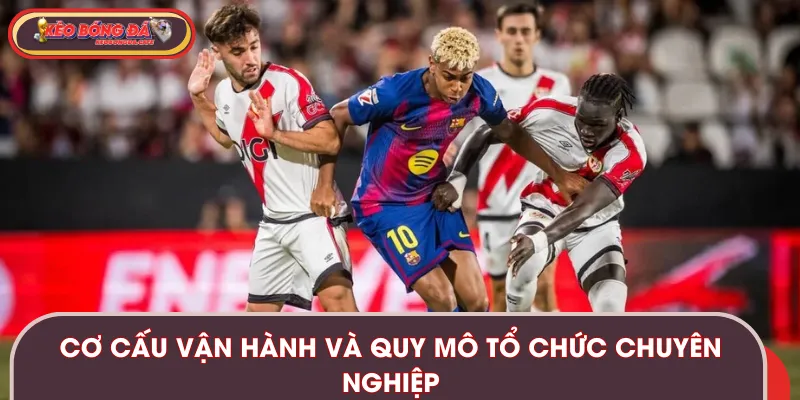 Cơ cấu tổ chức của giải đấu bóng đá chuyên nghiệp